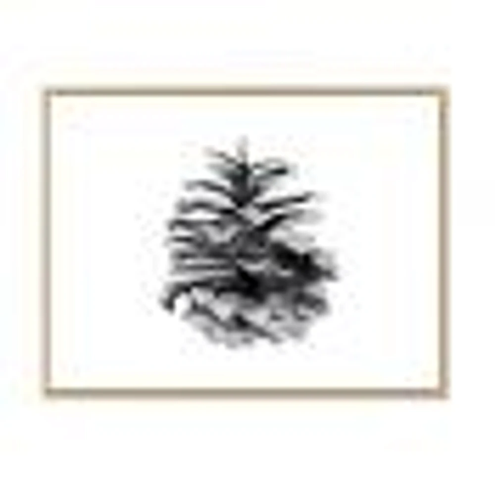 Conifer Cone Monochrome Wall Art