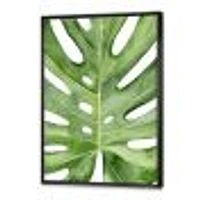 Green Monstera Leaf Tropical Palm Botanical Detail  Wall Art