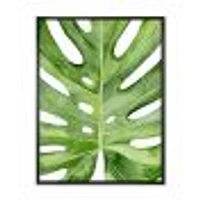 Green Monstera Leaf Tropical Palm Botanical Detail  Wall Art