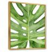 Green Monstera Leaf Tropical Palm Botanical Detail  Wall Art