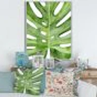 Green Monstera Leaf Tropical Palm Botanical Detail  Wall Art