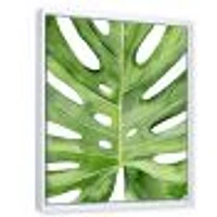 Green Monstera Leaf Tropical Palm Botanical Detail  Wall Art