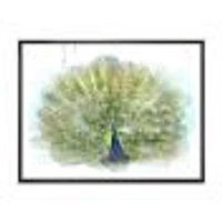 Toile « Peacock Bird »