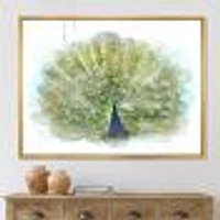 Toile « Peacock Bird »