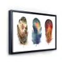 Colourful Boho Feather Set IX  Wall Art