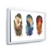 Colourful Boho Feather Set IX  Wall Art