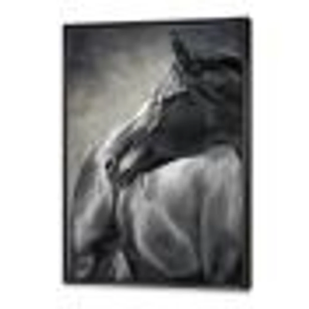 Portrait of A Black Horse  Canvas Wall Art Print