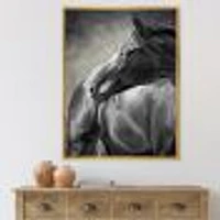 Portrait of A Black Horse  Canvas Wall Art Print