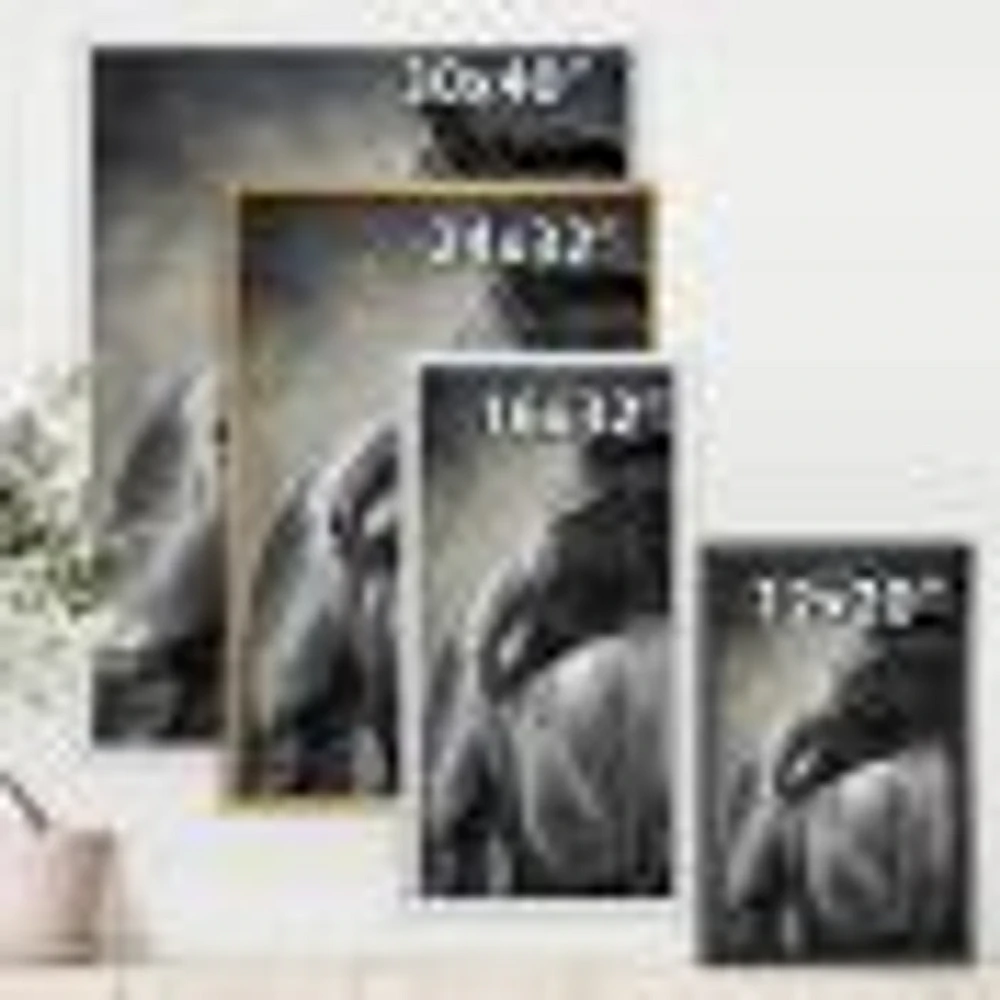 Portrait of A Black Horse  Canvas Wall Art Print