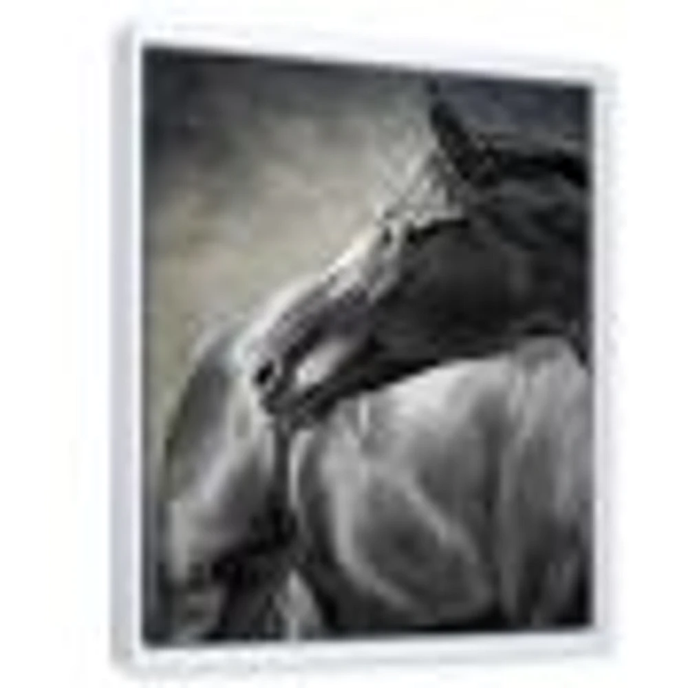 Portrait of A Black Horse  Canvas Wall Art Print