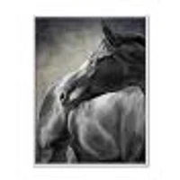Portrait of A Black Horse  Canvas Wall Art Print