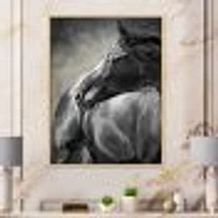 Portrait of A Black Horse  Canvas Wall Art Print