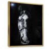 Horse Staring Sinister  Wall Art