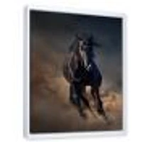 Portrait of Thoroughbred Nonius Stallion Horse I  Wall Art