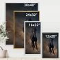 Portrait of Thoroughbred Nonius Stallion Horse I  Wall Art