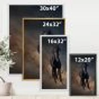 Portrait of Thoroughbred Nonius Stallion Horse I  Wall Art
