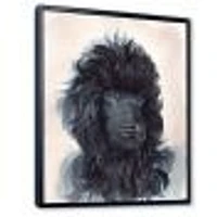Portrait of The Black Poodle Puppy with Curly Coat  Canvas Wall Art Print