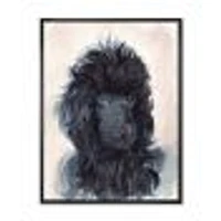 Portrait of The Black Poodle Puppy with Curly Coat  Canvas Wall Art Print