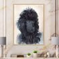 Portrait of The Black Poodle Puppy with Curly Coat  Canvas Wall Art Print