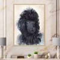 Portrait of The Black Poodle Puppy with Curly Coat  Canvas Wall Art Print