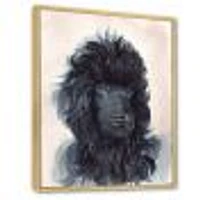 Portrait of The Black Poodle Puppy with Curly Coat  Canvas Wall Art Print