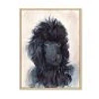 Portrait of The Black Poodle Puppy with Curly Coat  Canvas Wall Art Print