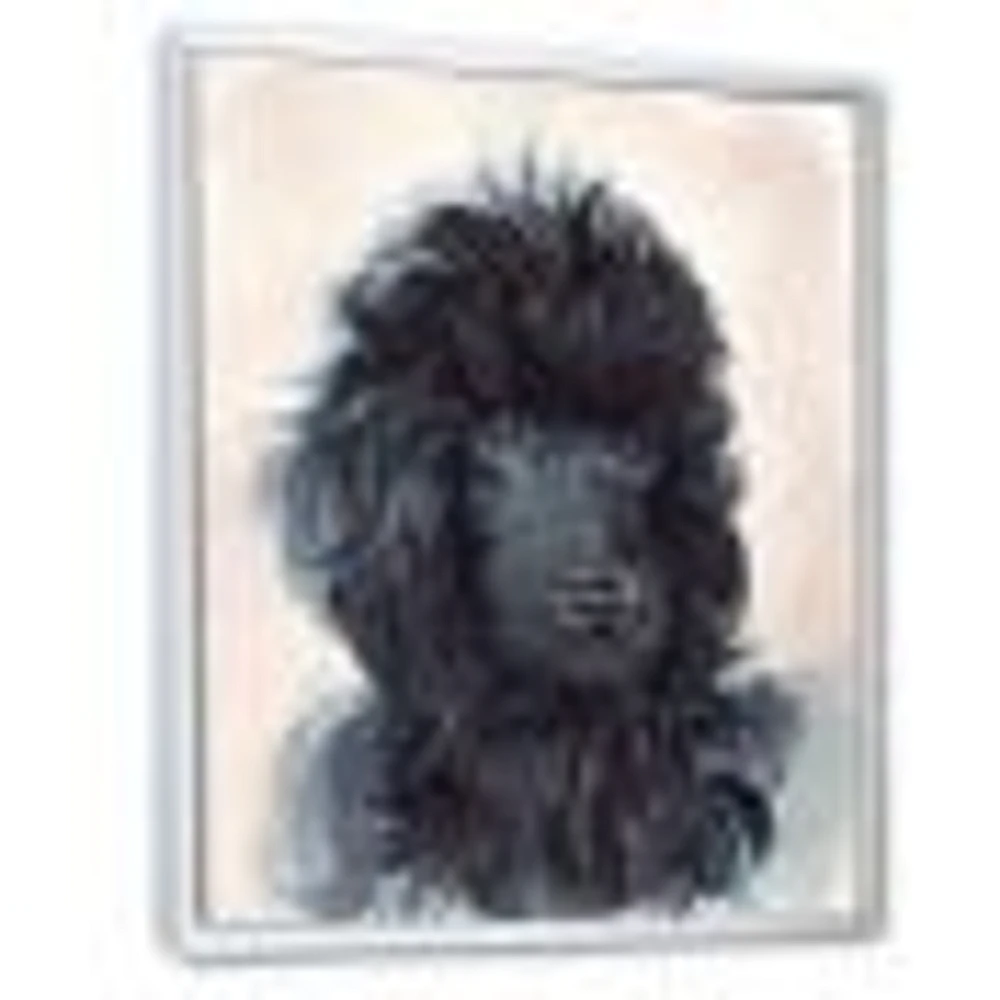 Portrait of The Black Poodle Puppy with Curly Coat  Canvas Wall Art Print