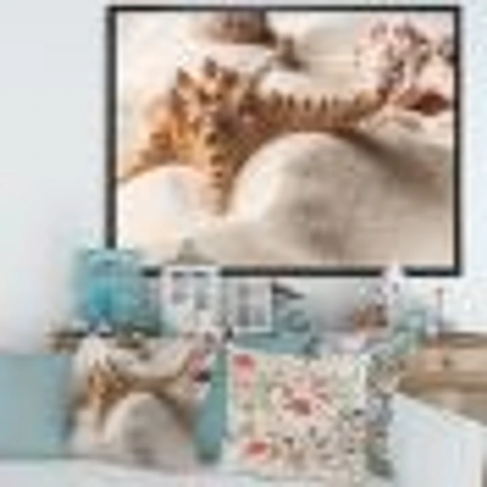 Close Up of Starfish and Seashell on Light Sand Canvas Wall Art Print