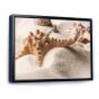 Close Up of Starfish and Seashell on Light Sand Canvas Wall Art Print
