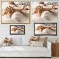 Close Up of Starfish and Seashell on Light Sand Canvas Wall Art Print
