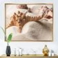 Close Up of Starfish and Seashell on Light Sand Canvas Wall Art Print