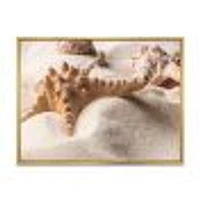 Close Up of Starfish and Seashell on Light Sand Canvas Wall Art Print