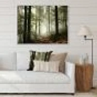 Toile imprimée « Light Dense Fall Forest with Fog »