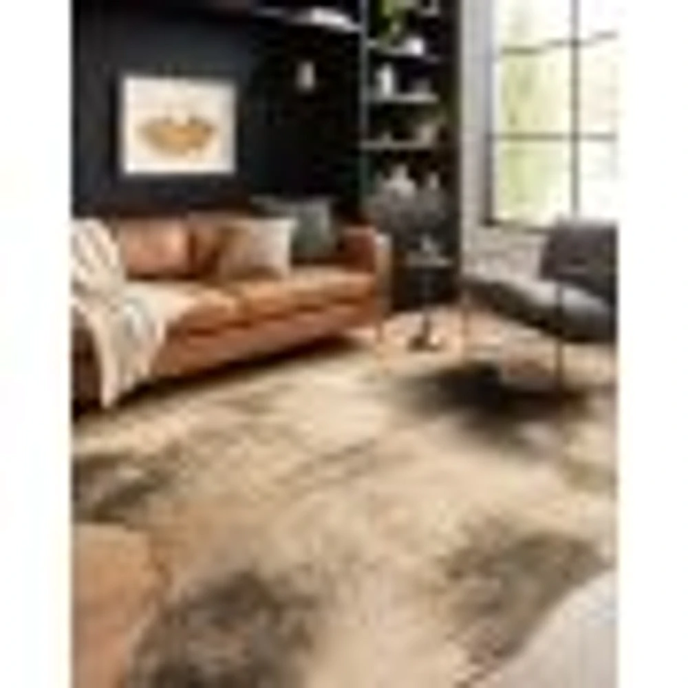 Loloi II Grand Canyon Rug