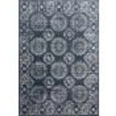 Loloi Joaquin Rug