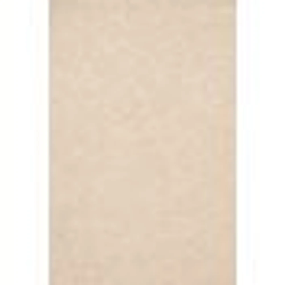 Loloi Lyle Rug