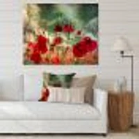 Wild Red Poppy Flowers Sky  Canvas Art Print