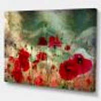 Wild Red Poppy Flowers Sky  Canvas Art Print