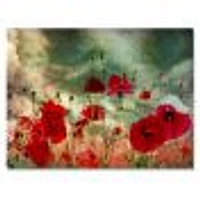 Wild Red Poppy Flowers Sky  Canvas Art Print