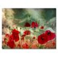 Wild Red Poppy Flowers Sky  Canvas Art Print