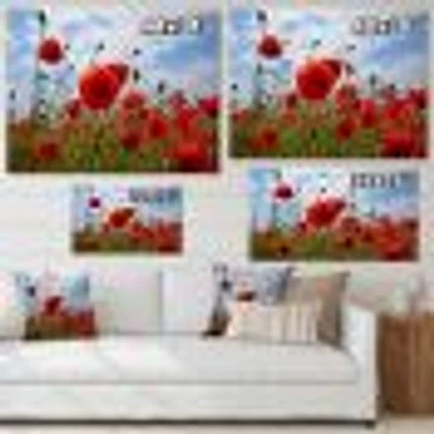 Bright Red Poppy Flowers Photo Artwork on Canvas