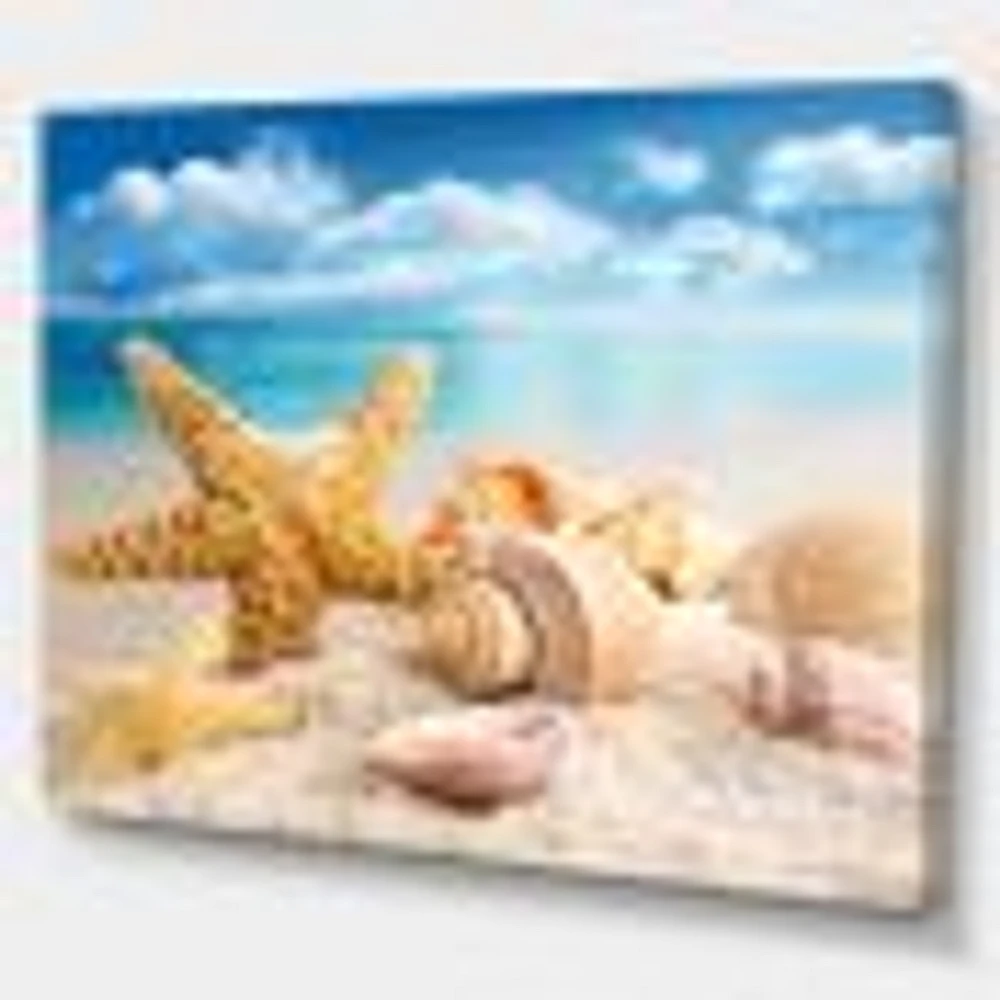 Starfish and Seashells on Beach Canvas Wall Art Print
