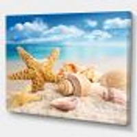 Starfish and Seashells on Beach Canvas Wall Art Print