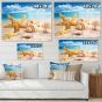 Starfish and Seashells on Beach Canvas Wall Art Print