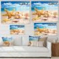 Starfish and Seashells on Beach Canvas Wall Art Print