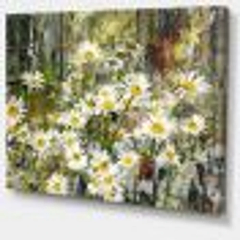 Daisies Flowers Under the Window  Wall Art
