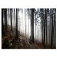 Misty Forest Morning Panorama  Wall Art