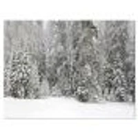 Foggy Winter Forest Panorama  Wall Art