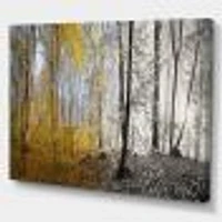 Morning Forest Panorama Canvas Art Print