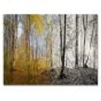Morning Forest Panorama Canvas Art Print